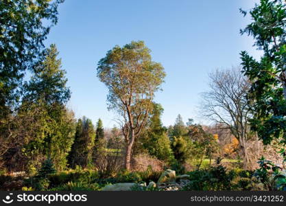 Washington Park Arboretum in Seattle