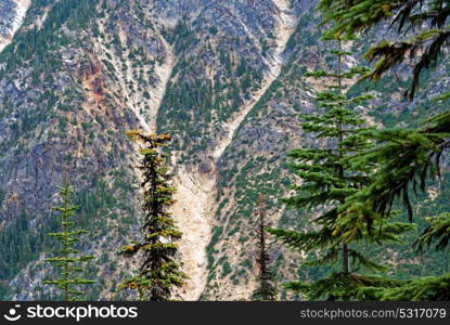 Washington Pass outside North Cascades National Park