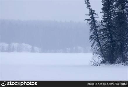 Waskesui Lake Canada Winter Prince Albert Park