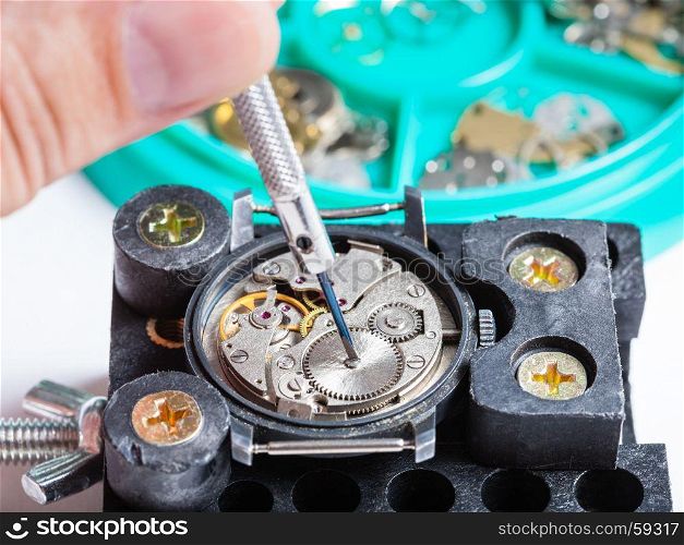 watchmaker workshop - repairing of old wristwatch in holder with screwdriver close up
