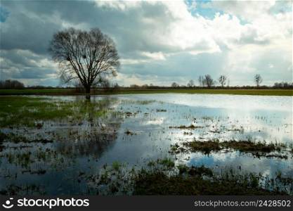 Water after downpours on the meadow and cloudy sky, spring view