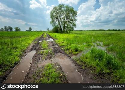 Water after rain on dirt road and meadow, eastern Poland