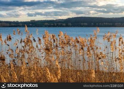 Water and beautiful spring weather, with Reed in the front.