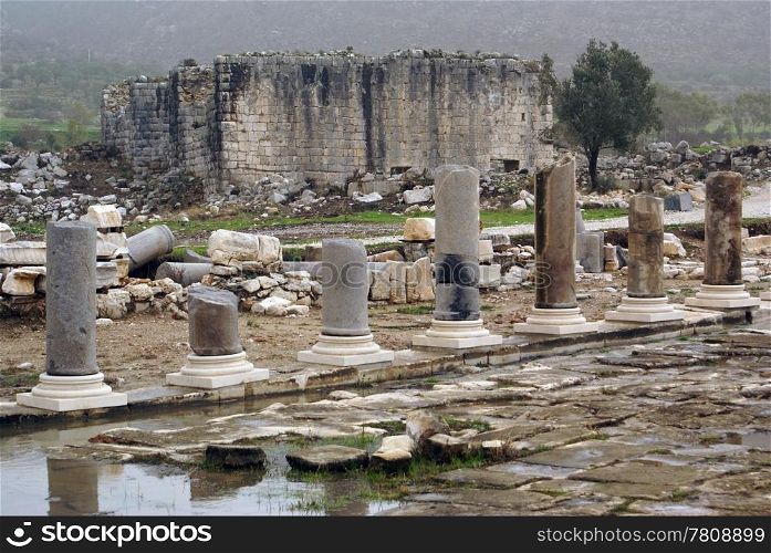 Water and colonnaded street in ruins of Patara, Turkey