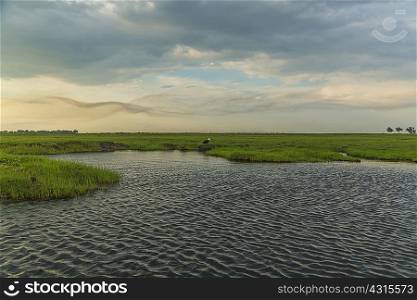 Water and grassland, Kasane, Chobe National Park, Botswana, Africa