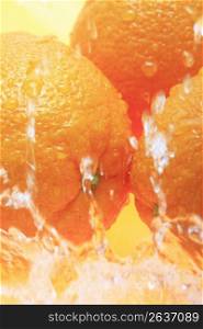 Water and Navel orange