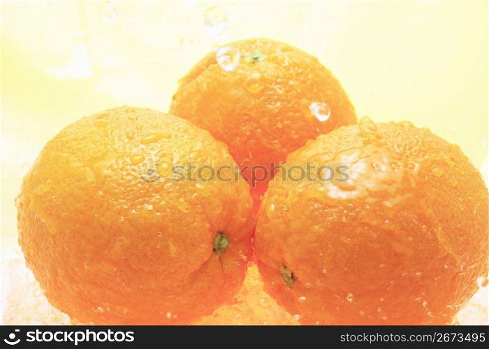 Water and Navel orange
