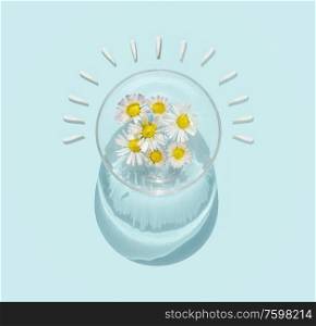 Water bowl with daisies flowers in sunlight on turquoise blue background. Top view