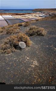 water coastline salt in lanzarote spain musk pond rock stone sky and summer &#xA;