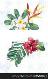 Water color painting of tropical flower fram decoration on space