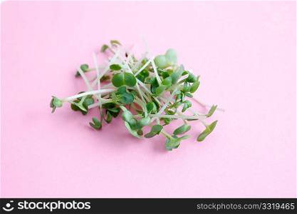 Water cress isolated on white