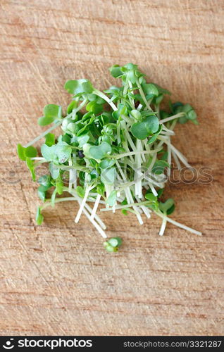 Water cress isolated on white