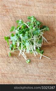 Water cress isolated on white