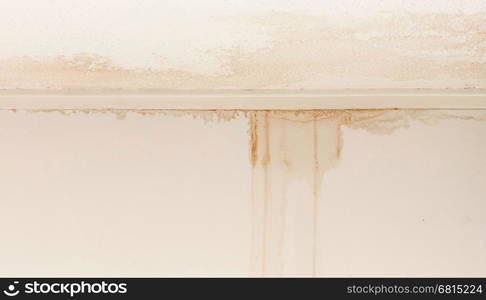 Water damaged ceiling and wall, white becomming brown