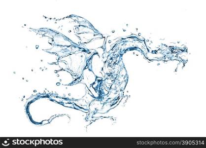 Water dragon isolated on white