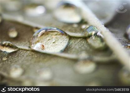 water drop macro close up