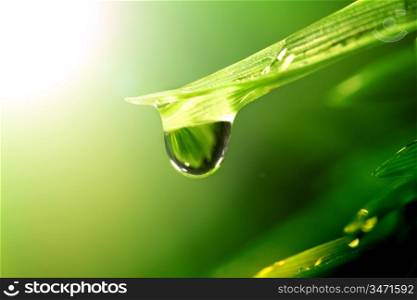 water drop shine in sun light