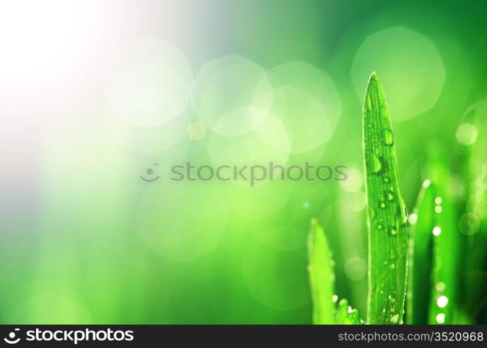 water drop shine in sun light