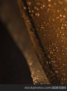 water droplets brown feather surface against blurred backdrop