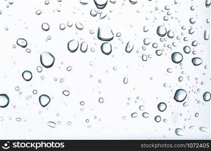 Water droplets on a white background