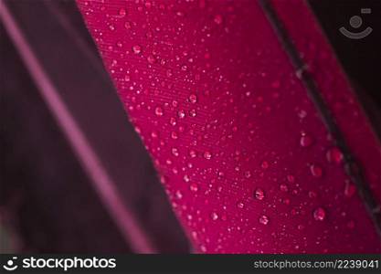water droplets pink feather surface