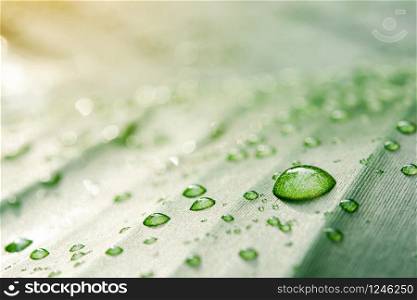 Water drops on banana leaf background with sun light