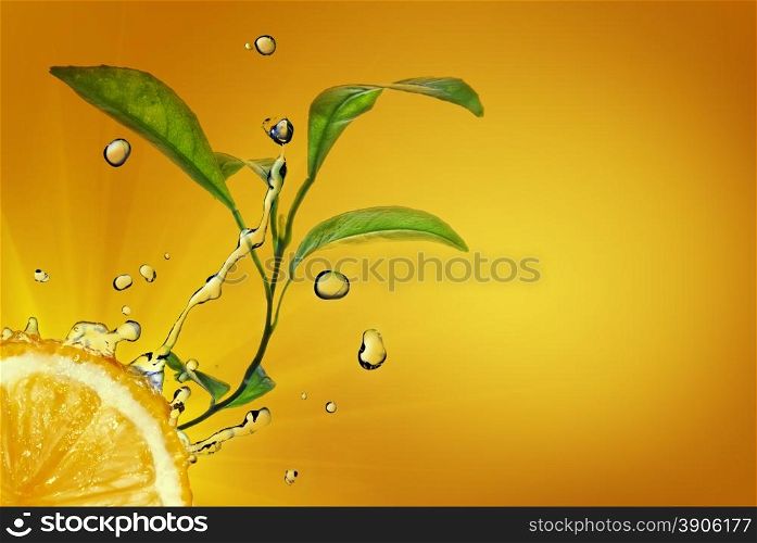 water drops on lemon with green leaves on yellow