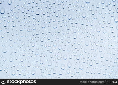 Water drops on white background, for design and pattern background