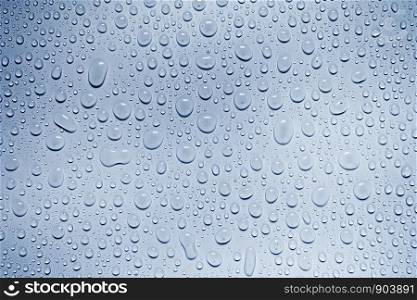 Water drops on white background, for design and pattern background