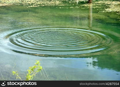 Water drops splashing