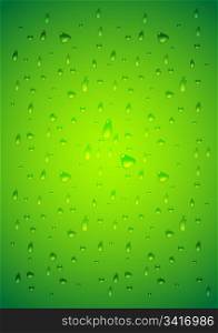 Water drops. Vector illustration - eps 10