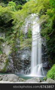 Water fall at the Mino Quasi National Park in Japan. Water fall at the Mino Quasi National Park in Japan with green maple tree