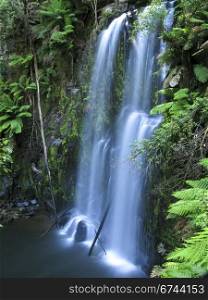 water fall. medium sized water fall in a rain forest in australia