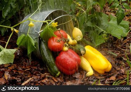 Water Falling on Fruit and Vegetables