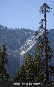 water falls in Yosemite National park, california, USA