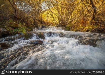 water flows in the mountains of the Caucasus