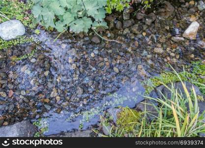 Water flows over a rocky stream bed with plants on the side.