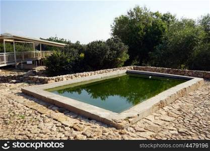Water from spring Ein Zur in stone bath, Israel