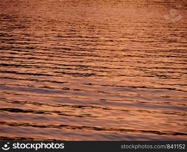 water golden color sun paints the sea surface background