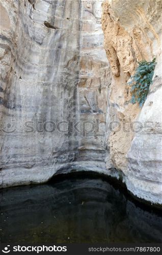 Water in Ein Akev in Negev desert, Israel