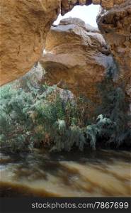 Water in Ein Yorkeam natural pool in Israel