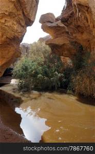 Water in Ein Yorkeam natural pool in Negev desert, Israel