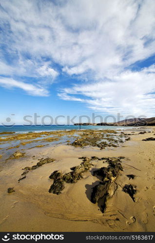 water in lanzarote coastline froth spain pond rock stone sky cloud beach musk and summer