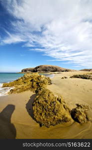 water in lanzarote coastline froth spain pond rock stone sky cloud beach musk and summer