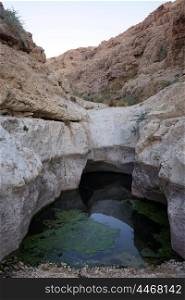 Water in spring Ein Zafit in Negev desert, Israel