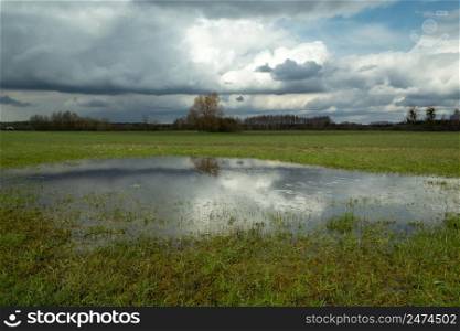 Water in the meadow and cloudy sky, Nowiny, Poland