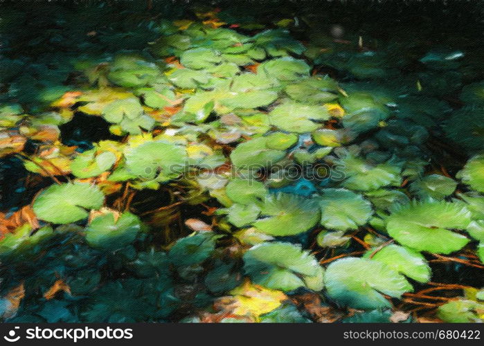 Water lillies, Nymphaeaceae, in lush tropical Brazilian rain forest - Claude Monet style digital manipulation oil on canvas impressionist effect. Water lillies in tropical Brazilian rain forest - Monet style digital manipulation