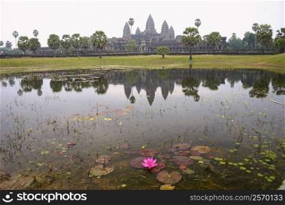 Water lily in a pond with a temple in the background, Angkor Wat, Siem Reap, Cambodia