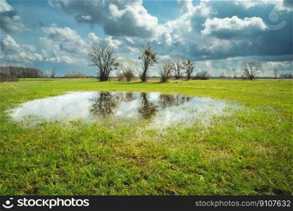 Water on a meadow with trees and clouds on the sky, Nowiny, Lubelskie, Poland