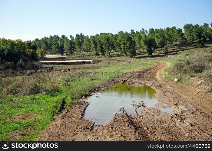 Water on the dirt road in rural Israel
